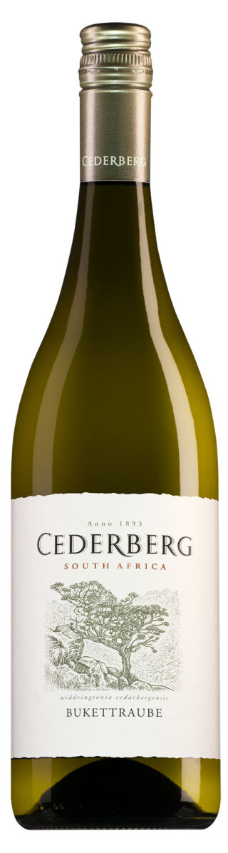 cederberg bukettraube